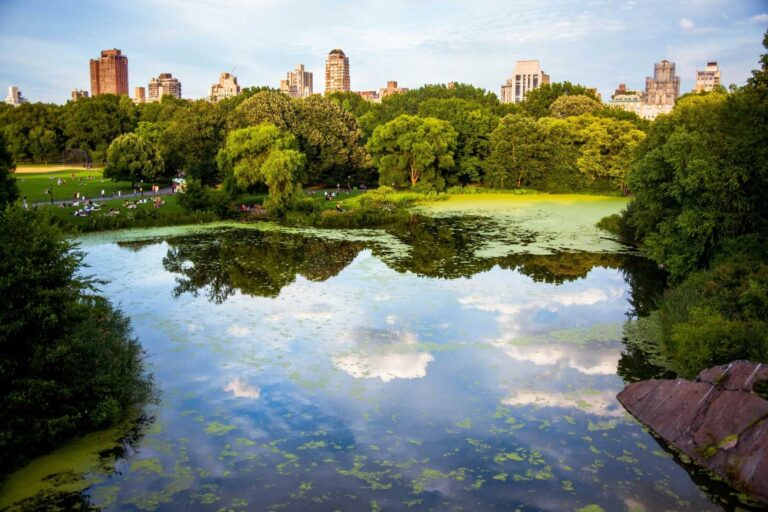 Central Park, New York. Photo by Hector Arg&uuml;ello Canals, Unsplash